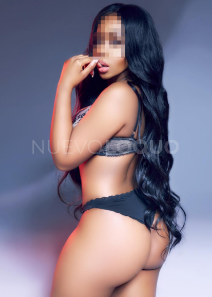 NuevoLoquo2