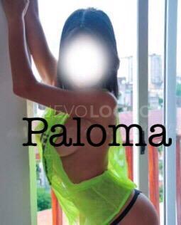 NuevoLoquo2