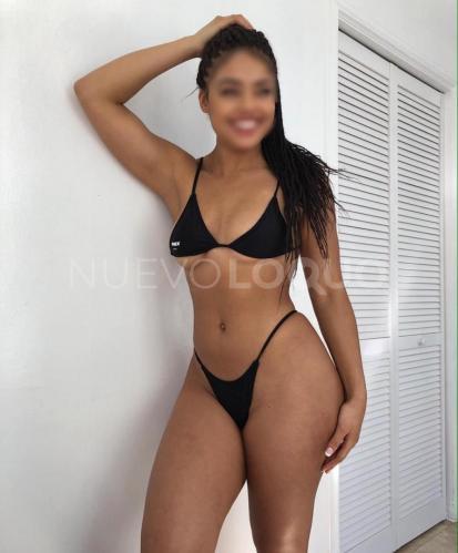 NuevoLoquo3