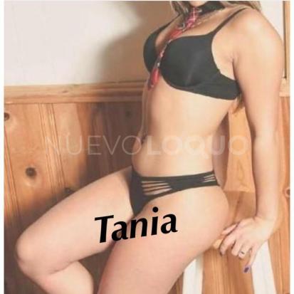 NuevoLoquo3