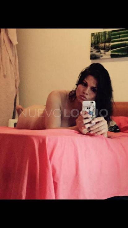 NuevoLoquo3