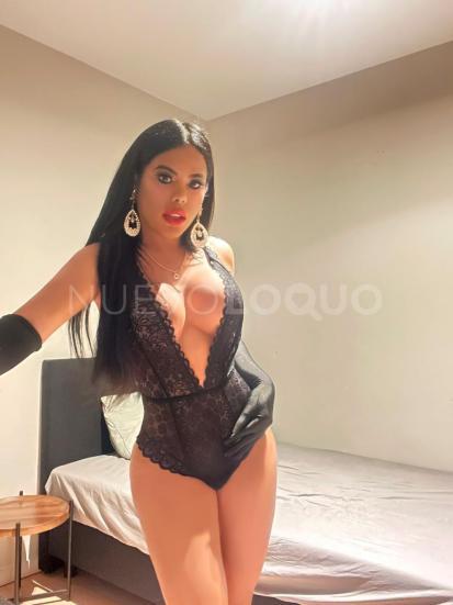 NuevoLoquo3