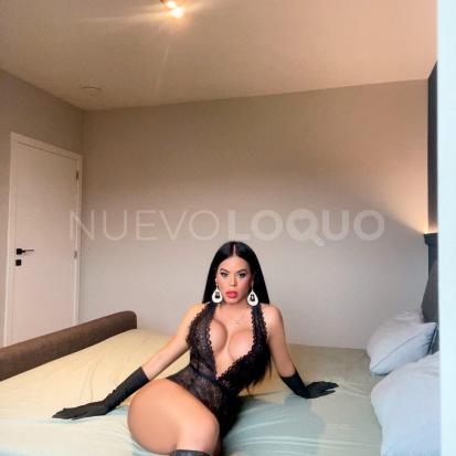 NuevoLoquo4