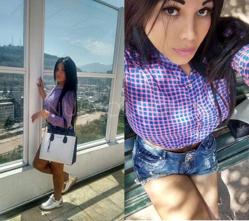 NuevoLoquo2