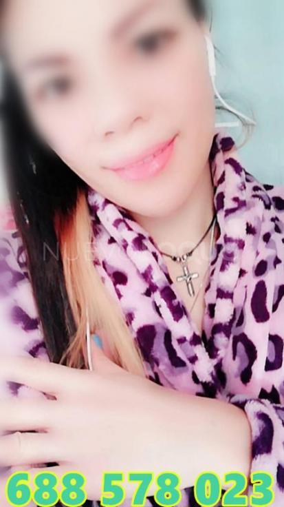 NuevoLoquo4