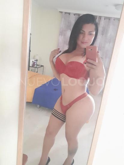 NuevoLoquo2