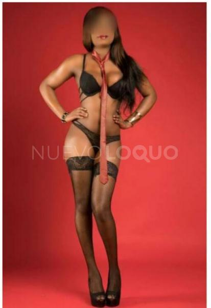NuevoLoquo2