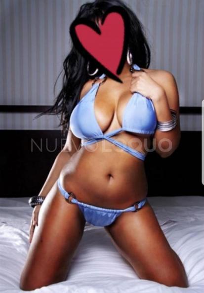 NuevoLoquo4