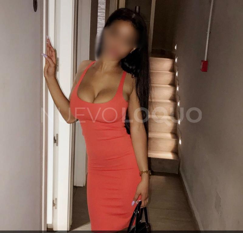 NuevoLoquo3
