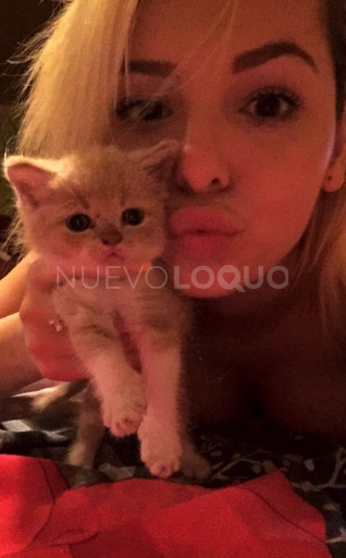 NuevoLoquo0
