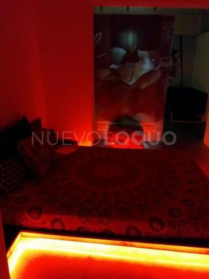 NuevoLoquo3