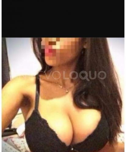 NuevoLoquo2