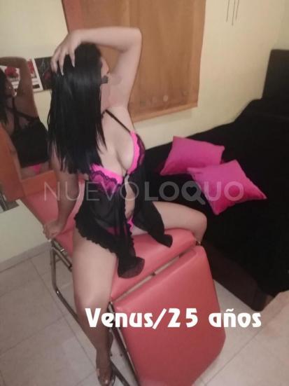 NuevoLoquo3