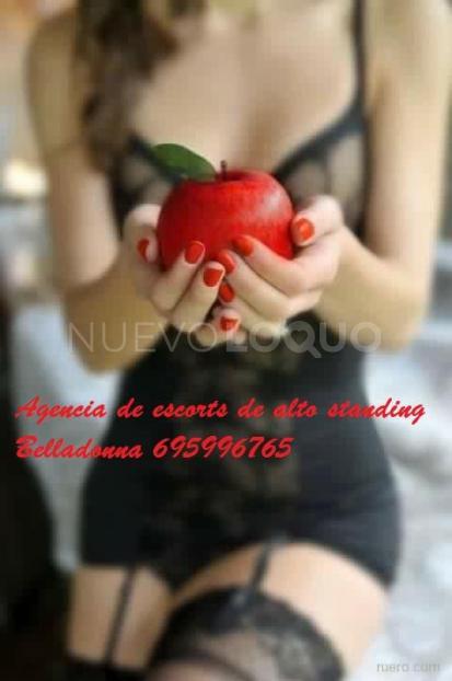 NuevoLoquo1