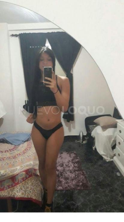 NuevoLoquo1