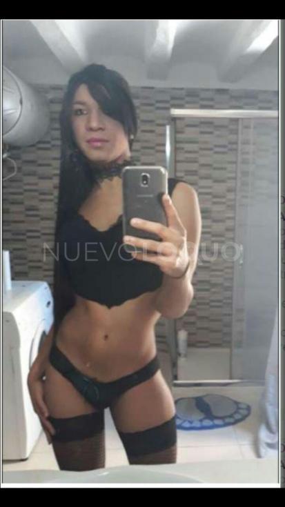 NuevoLoquo3