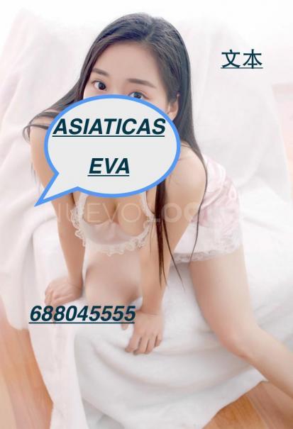 NuevoLoquo3