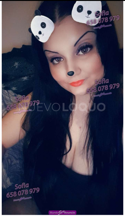 NuevoLoquo1