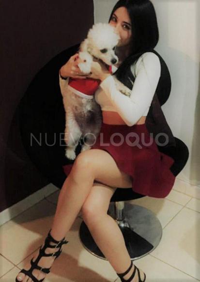 NuevoLoquo5