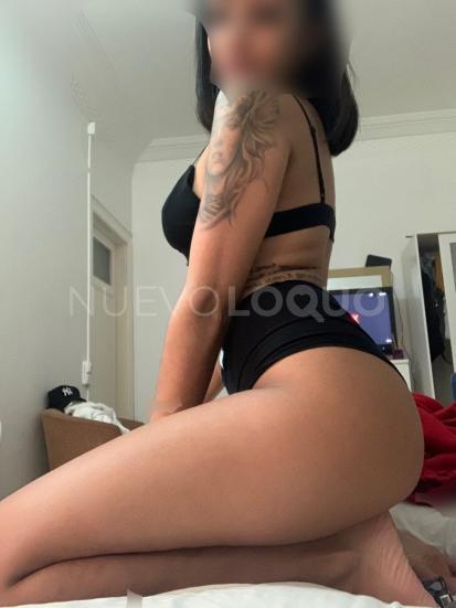 NuevoLoquo1