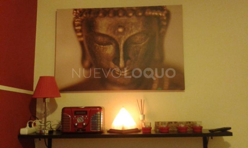 NuevoLoquo4
