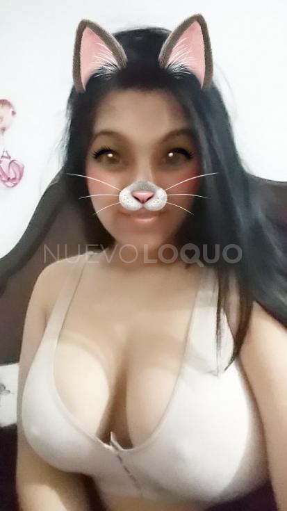NuevoLoquo1