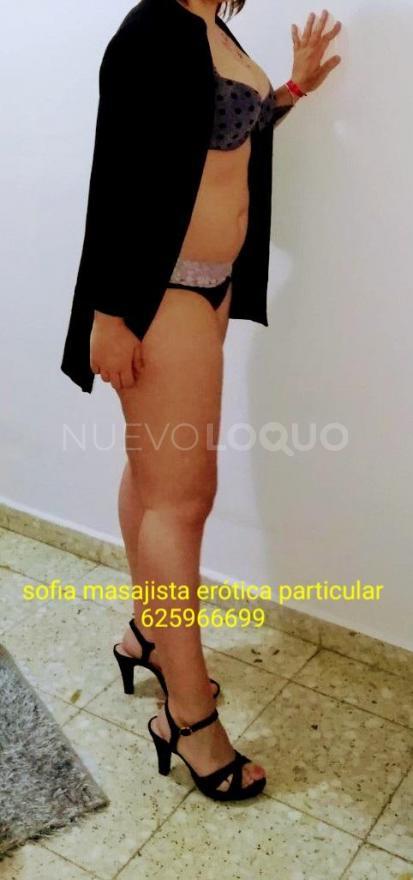 NuevoLoquo2