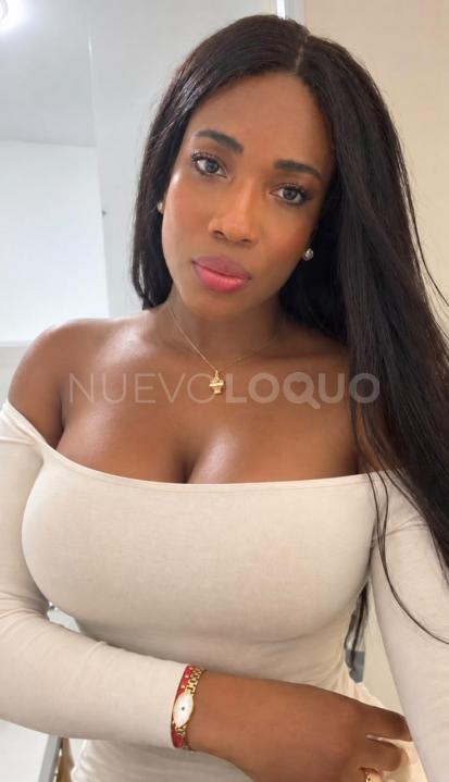 NuevoLoquo3