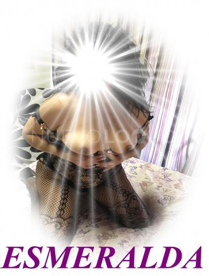 NuevoLoquo3