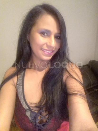 NuevoLoquo3