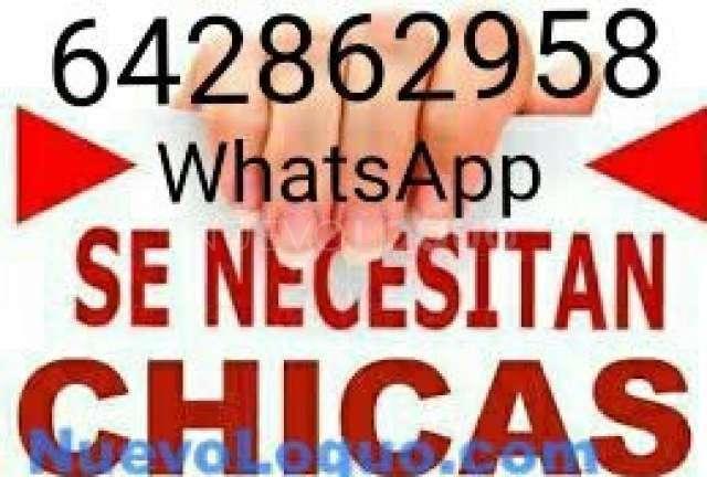 NuevoLoquo4