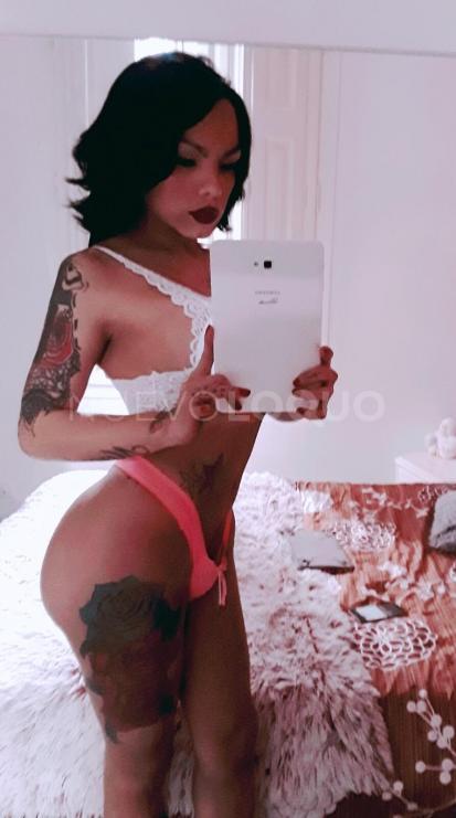  Nuevamente PALOMA