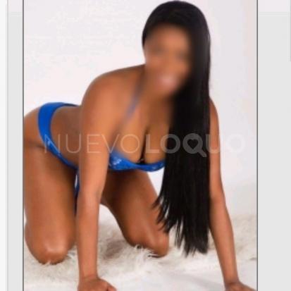 NuevoLoquo2