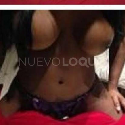 NuevoLoquo4