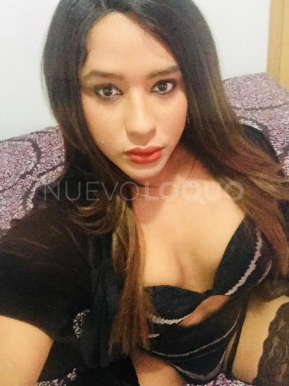 NuevoLoquo1
