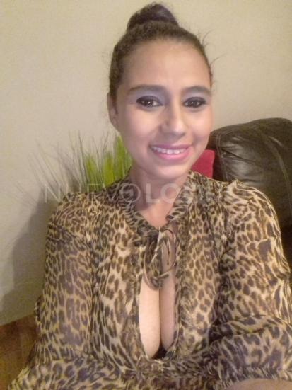 NuevoLoquo2
