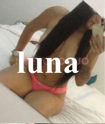 NuevoLoquo2