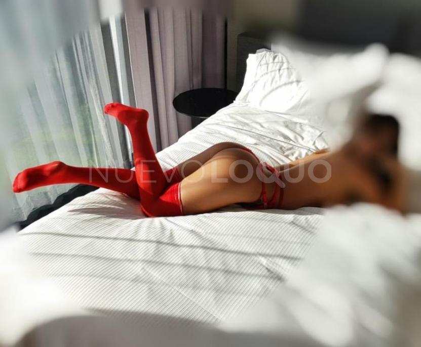 NuevoLoquo2