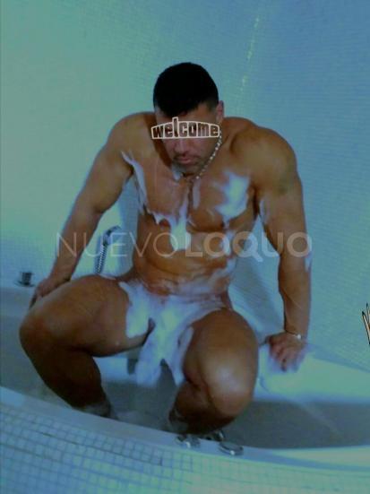 NuevoLoquo2