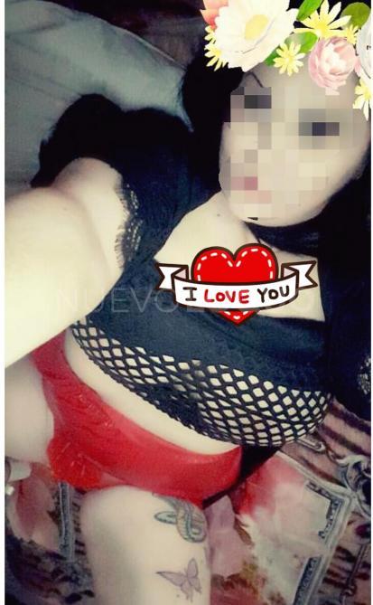 NuevoLoquo3