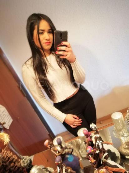 NuevoLoquo3