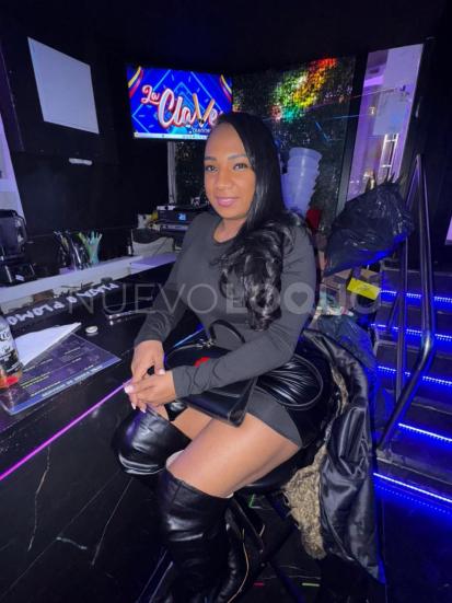 NuevoLoquo3