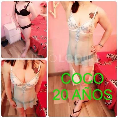 NuevoLoquo1