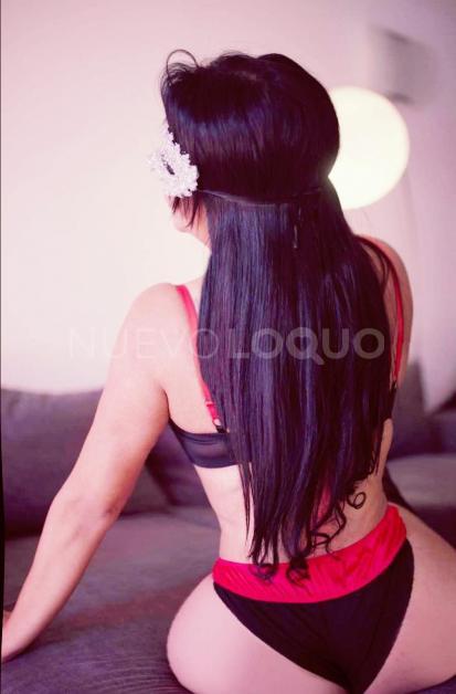 NuevoLoquo3