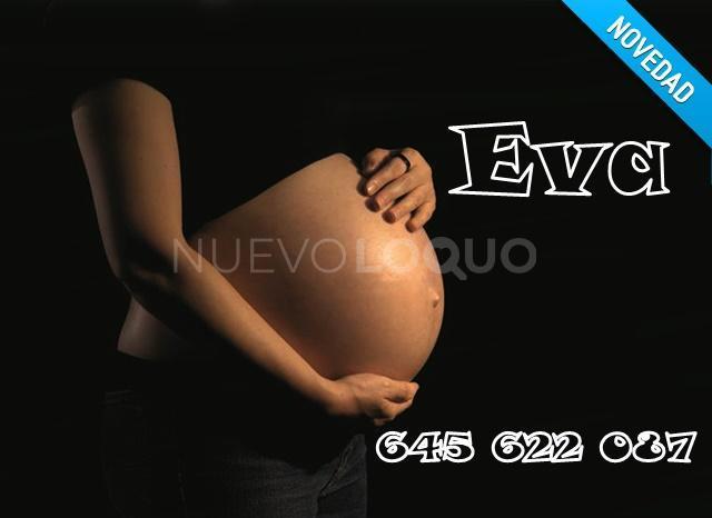 NuevoLoquo3