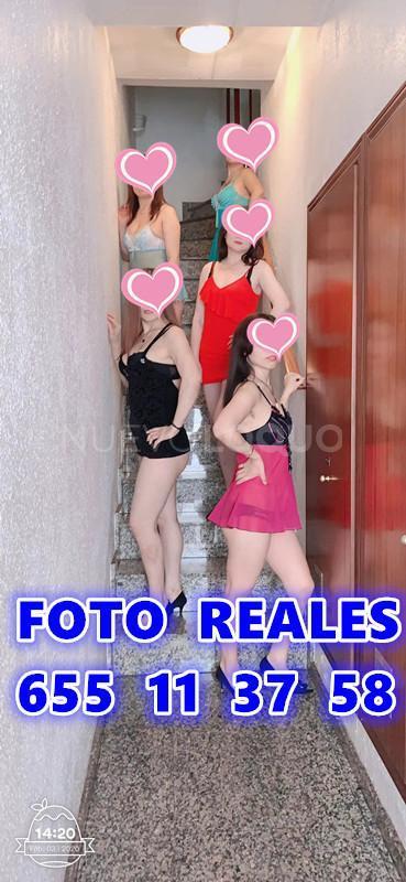 NuevoLoquo3