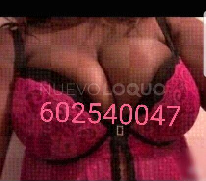 NuevoLoquo1