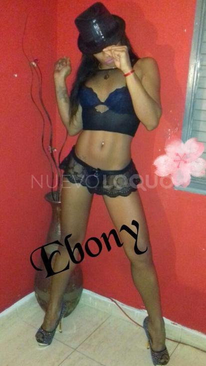 NuevoLoquo3