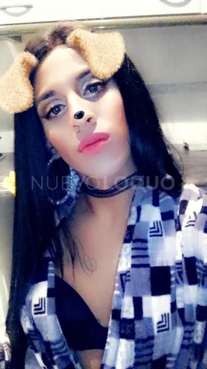 NuevoLoquo4