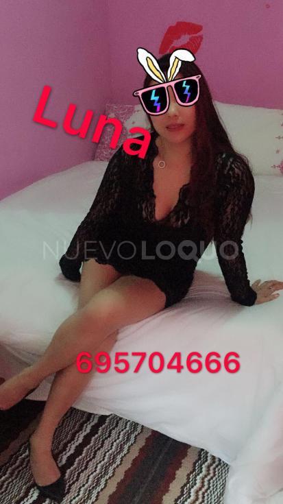 NuevoLoquo3